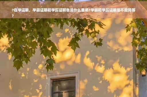 ?在学证明，学籍证明和学历证明各是什么意思?学籍和学历证明是不是同等
?
