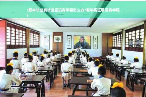 ?职中毕业有毕业证没有学籍怎么办?有学历证明没有学籍
?