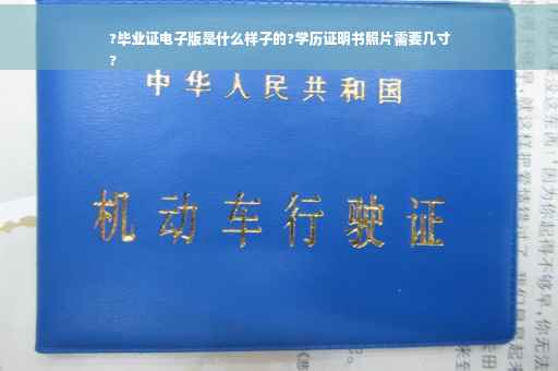 ?毕业证电子版是什么样子的?学历证明书照片需要几寸
?