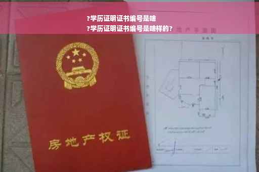 ?学历证明证书编号是啥
?学历证明证书编号是啥样的?
