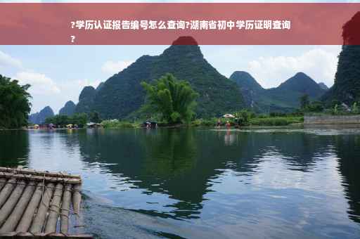 ?学历认证报告编号怎么查询?湖南省初中学历证明查询
?