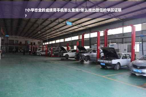 ?小学毕业的成绩用手机怎么查询?怎么找出微信的学历证明
?