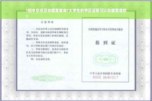?初中毕业证去哪里查询?大学生的学历证明可以在哪里查到
?