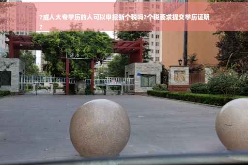 ?成人大专学历的人可以申报新个税吗?个税要求提交学历证明
?