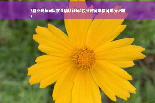 ?执业药师可以在头条认证吗?执业药师学信网学历证明
?