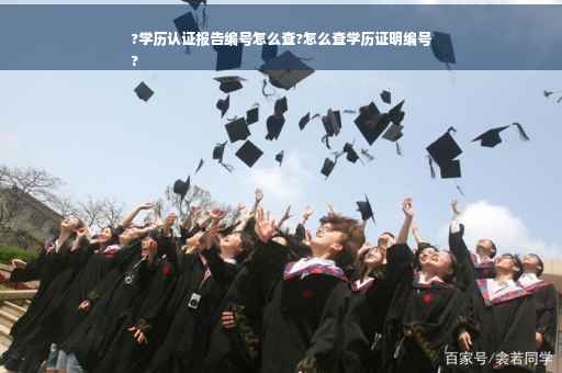 ?学历认证报告编号怎么查?怎么查学历证明编号
?