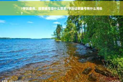 ?学历查询，报告编号是什么意思?学历证明编号有什么用处
?