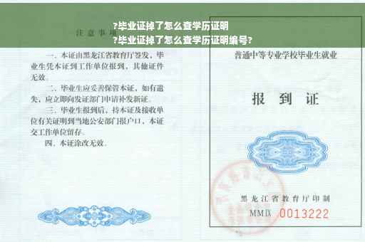 ?毕业证掉了怎么查学历证明
?毕业证掉了怎么查学历证明编号?