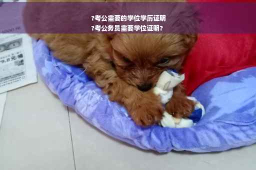 ?考公需要的学位学历证明
?考公务员需要学位证明?
