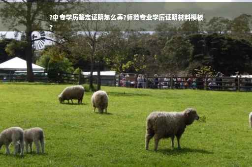 ?中专学历鉴定证明怎么弄?师范专业学历证明材料模板
?