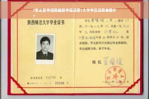 ?怎么在学信网截图学籍证明?大学学历证明表图片
?