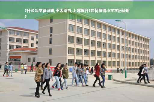 ?什么叫学籍证明,不太明白,上哪里开?如何获得小学学历证明
?