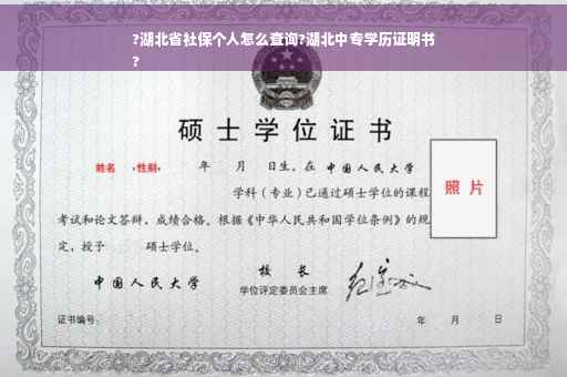 ?湖北省社保个人怎么查询?湖北中专学历证明书
?