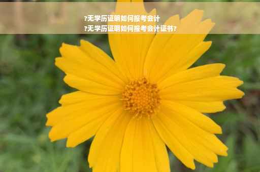 ?无学历证明如何报考会计
?无学历证明如何报考会计证书?