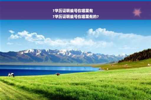 ?学历证明编号在哪里有
?学历证明编号在哪里有的?