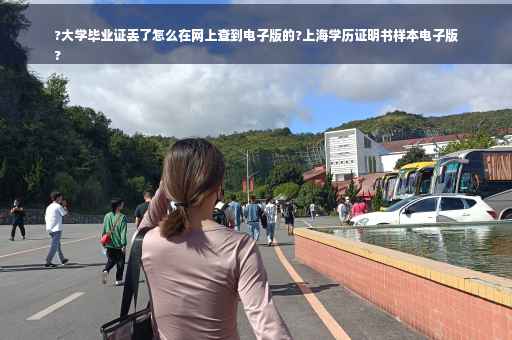 ?大学毕业证丢了怎么在网上查到电子版的?上海学历证明书样本电子版
?