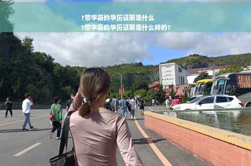 ?带学籍的学历证明是什么
?带学籍的学历证明是什么样的?