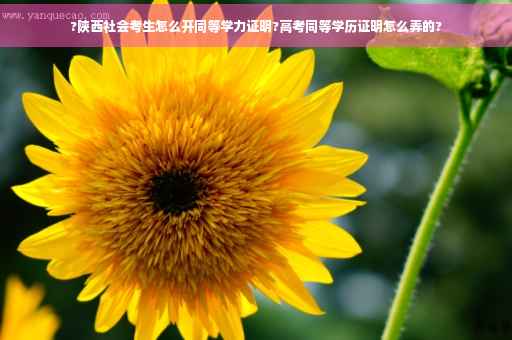 ?陕西社会考生怎么开同等学力证明?高考同等学历证明怎么弄的?
