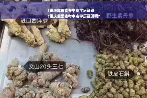 ?重庆哪里能考中专学历证明
?重庆哪里能考中专学历证明呢?