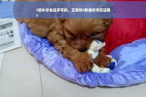 ?初中毕业证手写的，正常吗?教委的学历证明
?