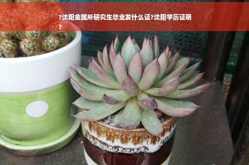 ?沈阳金属所研究生毕业发什么证?沈阳学历证明
?