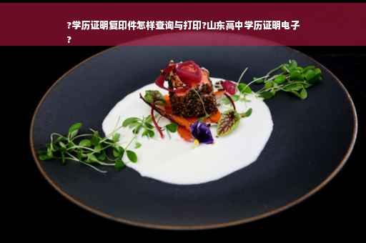 ?学历证明复印件怎样查询与打印?山东高中学历证明电子
?