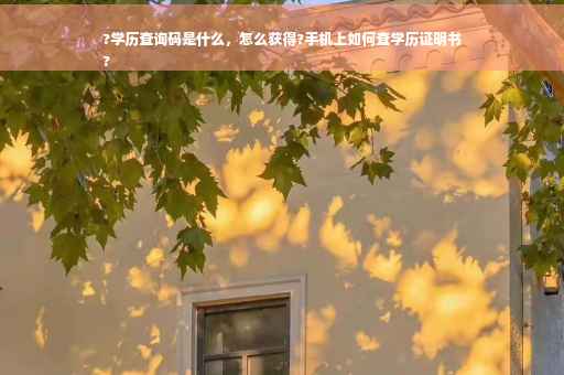 ?学历查询码是什么，怎么获得?手机上如何查学历证明书
?