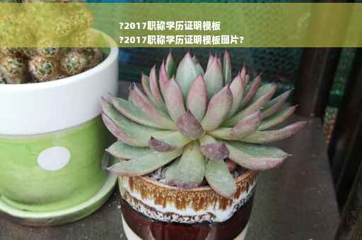 ?2017职称学历证明模板
?2017职称学历证明模板图片?