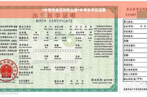 ?中专毕业证书怎么填?中专生学历证明
⚡️