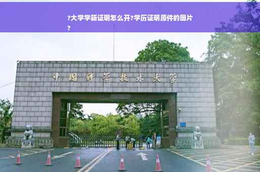 ?大学学籍证明怎么开?学历证明原件的图片
?