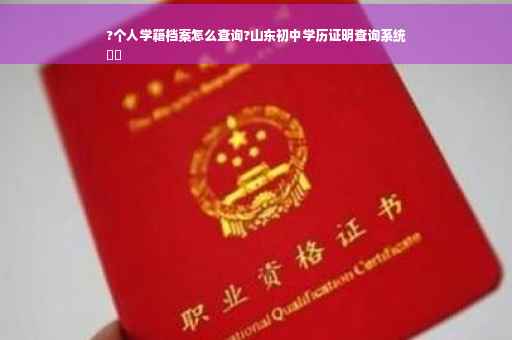 ?个人学籍档案怎么查询?山东初中学历证明查询系统
⚡️
