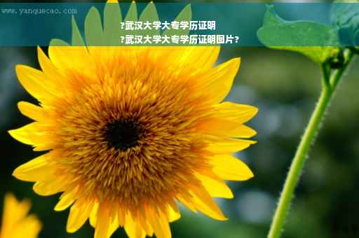 ?武汉大学大专学历证明
?武汉大学大专学历证明图片?