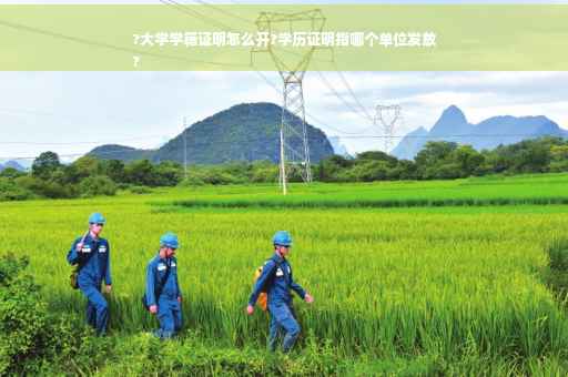 ?大学学籍证明怎么开?学历证明指哪个单位发放
?