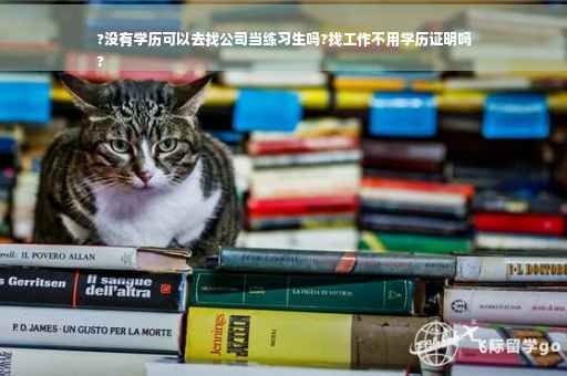 ?没有学历可以去找公司当练习生吗?找工作不用学历证明吗
?