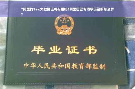 ?阿里的1+x大数据证书有用吗?阿里巴巴专项学历证明怎么弄
?