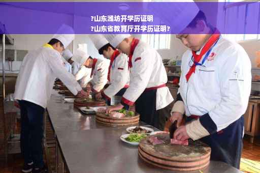 ?山东潍坊开学历证明
?山东省教育厅开学历证明?
