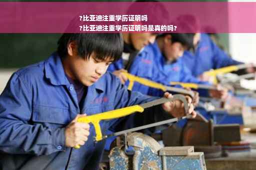 ?比亚迪注重学历证明吗
?比亚迪注重学历证明吗是真的吗?