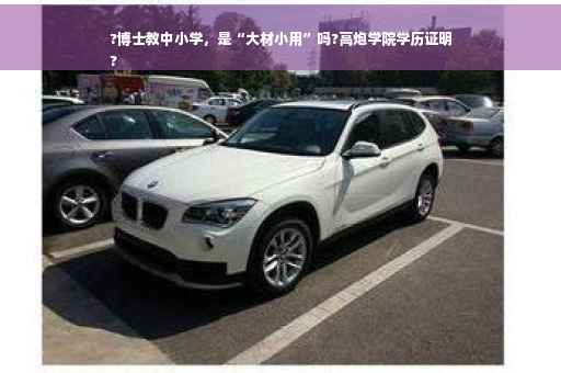 ?博士教中小学，是“大材小用”吗?高炮学院学历证明
?