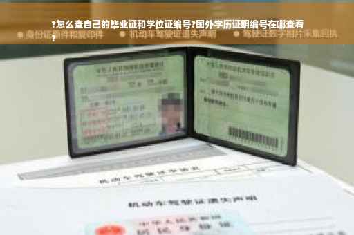 ?怎么查自己的毕业证和学位证编号?国外学历证明编号在哪查看
?