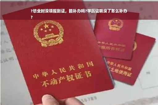 ?毕业时没领报到证，能补办吗?学历证明没了怎么补办
?