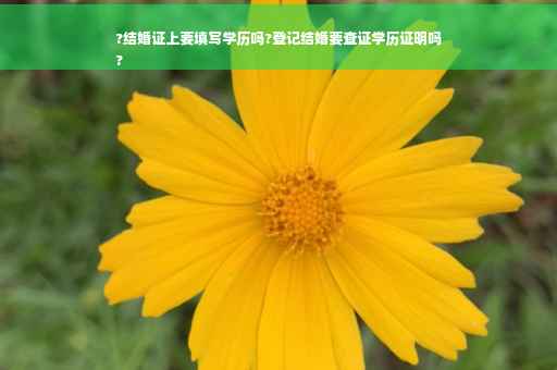 ?结婚证上要填写学历吗?登记结婚要查证学历证明吗
?