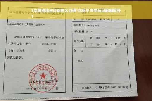 ?沈阳准出生证明怎么办理?沈阳中专学历证明哪里开
?