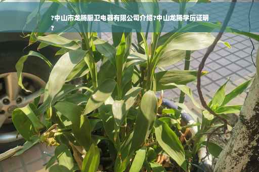 ?中山市龙腾厨卫电器有限公司介绍?中山龙腾学历证明
?