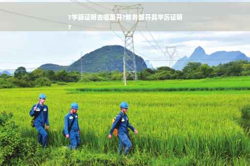 ?学籍证明去哪里开?教务部开具学历证明
?
