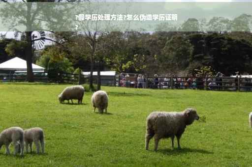 ?假学历处理方法?怎么伪造学历证明
?