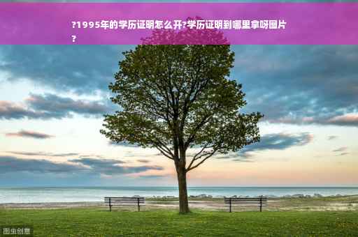 ?1995年的学历证明怎么开?学历证明到哪里拿呀图片
?