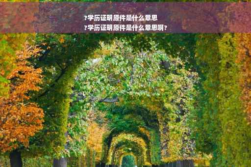 ?学历证明原件是什么意思
?学历证明原件是什么意思啊?