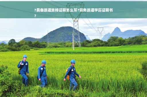 ?具备派遣资格证明怎么写?劳务派遣学历证明书
?