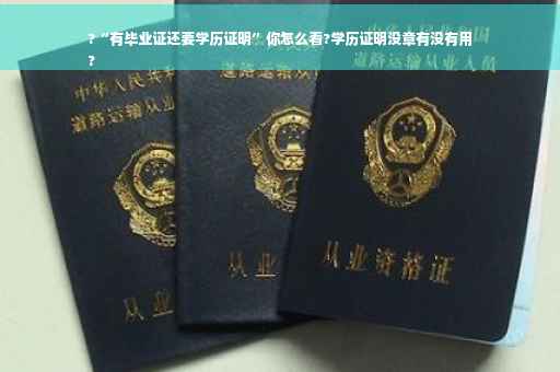 ?“有毕业证还要学历证明”你怎么看?学历证明没章有没有用
?