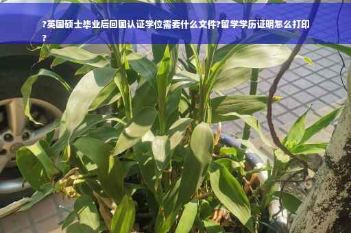 ?英国硕士毕业后回国认证学位需要什么文件?留学学历证明怎么打印
?